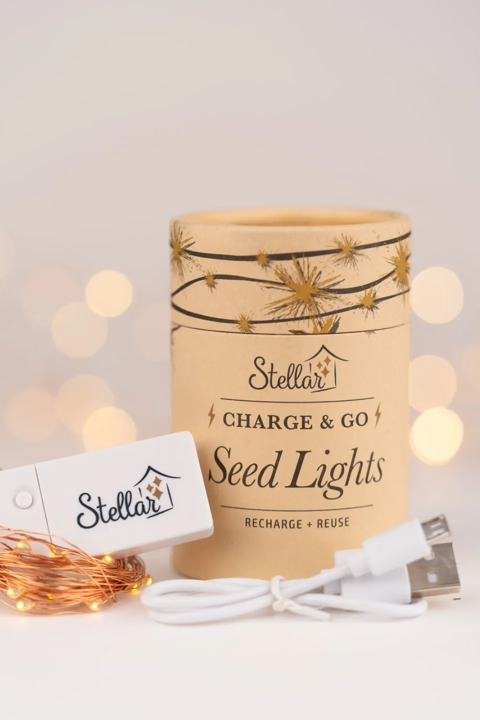 Charge & Go Copper Warm White Rechargable 3m String Seed Lights