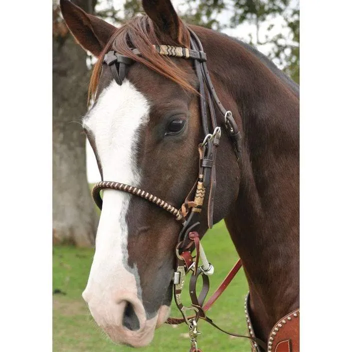 Chocolate Single Rope Martin Saddlery Noseband