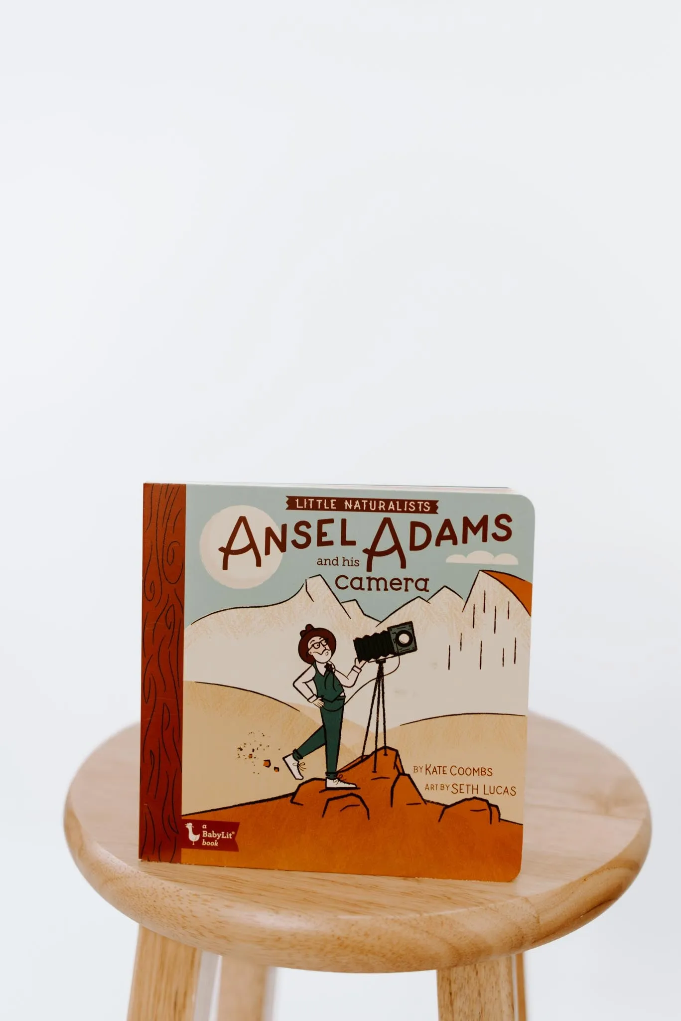 Little Naturalists: Ansel Adams Board Book