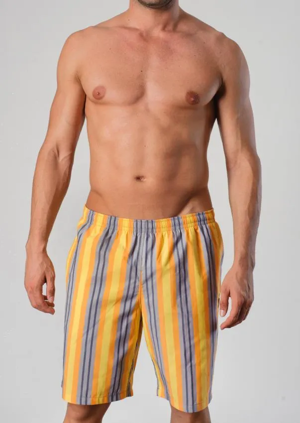 Men Board Shorts 1404p4