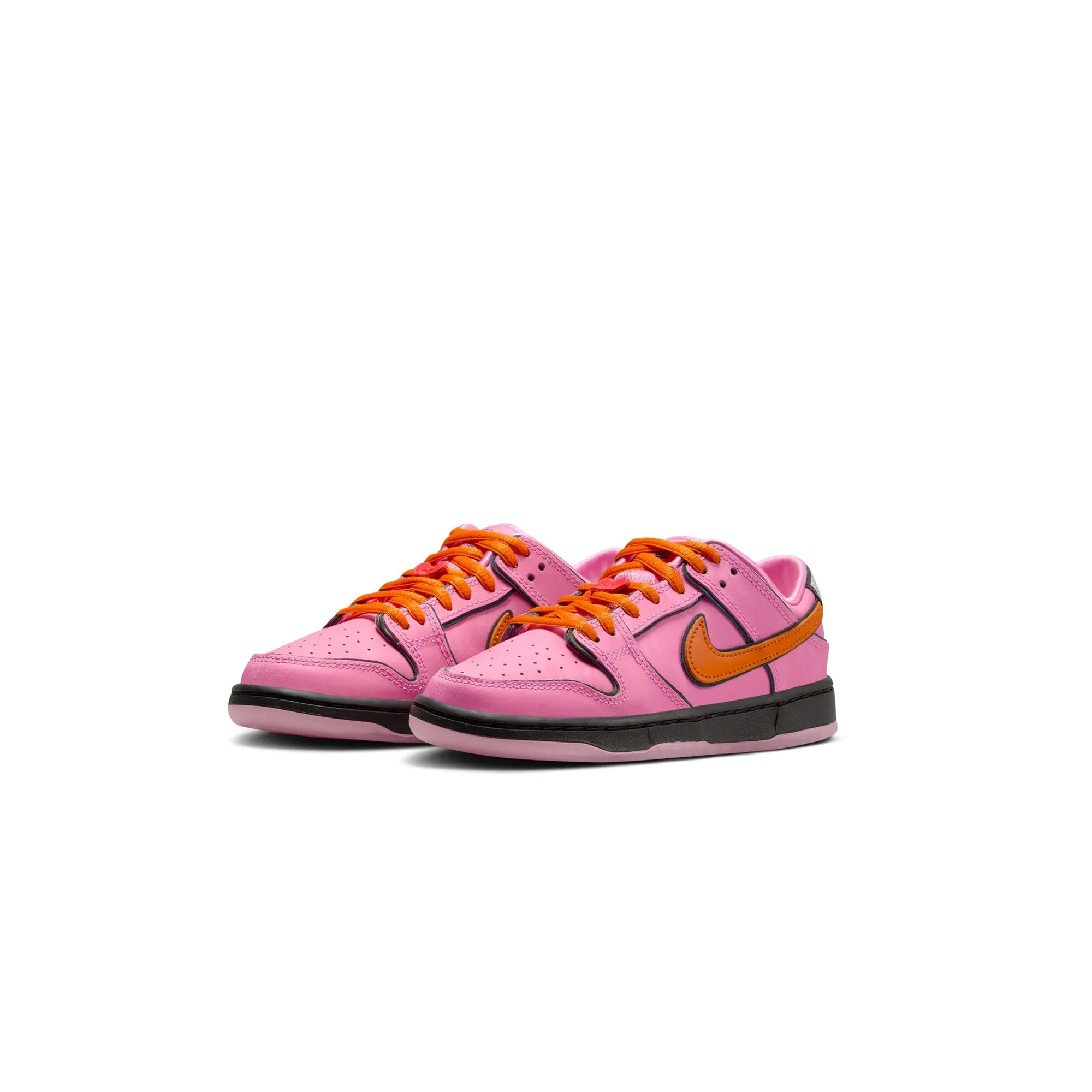 Nike SB Little Kids Dunk Low Pro Shoes