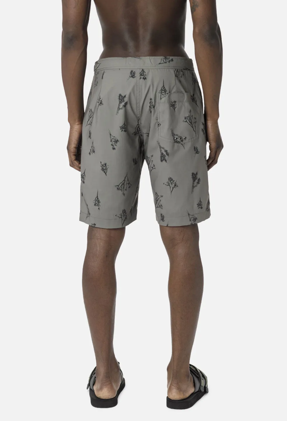 Solar Board Shorts / Joshua Tree